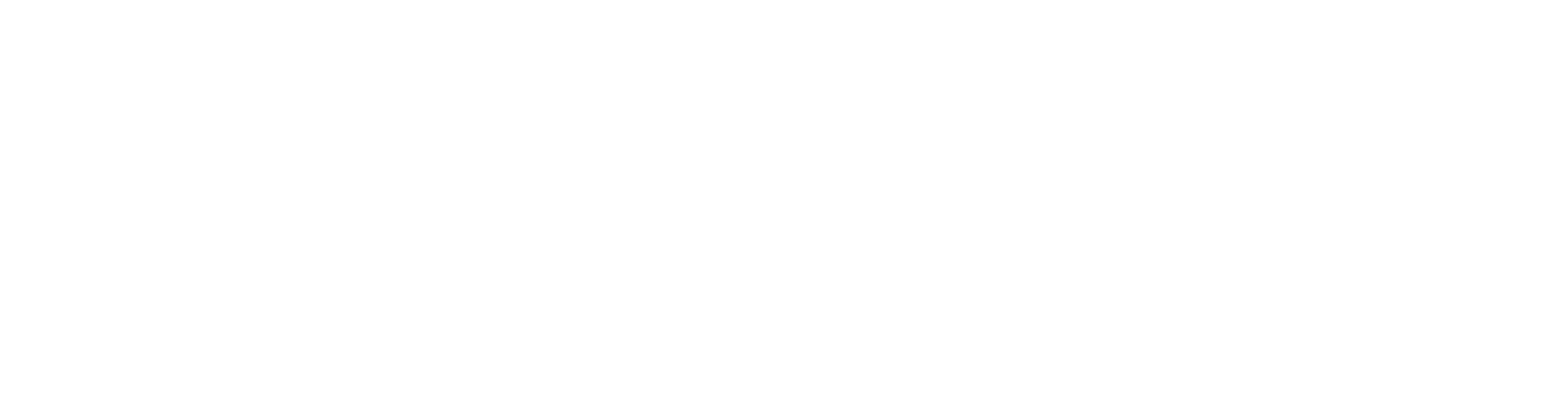 Onfiber Internet - Logo rodapé